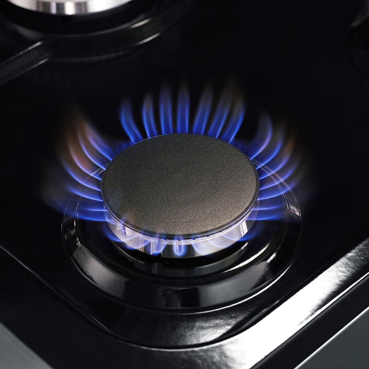 Forno Massimo 48 in. Freestanding Dual Fuel Range with 8 Sealed Burners, 6.58 cu. ft. Oven, Stainless Steel (FFSGS6125-48)