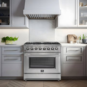 FORNO Galiano 36 in. Dual Fuel Freestanding Range, 5.36 cu. ft. Oven, 6 Sealed Gas Burners, Stainless Steel (Model FFSGS6156-36)