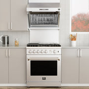 Forno Savona 30-Inch Wall-Mounted Range Hood with Backsplash, 600 CFM, Baffle Filters (Model FRHWM5029-30)