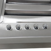 Forno Frassanito 30-Inch Ceiling-Mount Range Hood, 450 CFM, Stainless Steel (FRHRE5346-30)